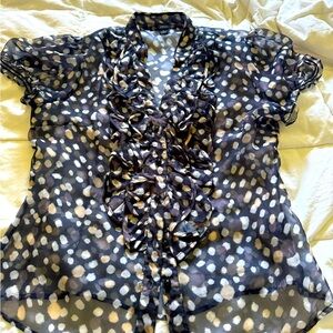 Lovely sheer ruffle/button-down blouse.
